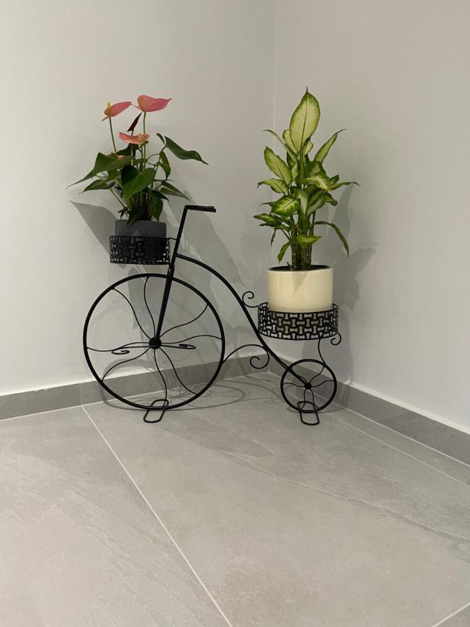 The House Of Johnkou Apartment Chania  ภายนอก รูปภาพ