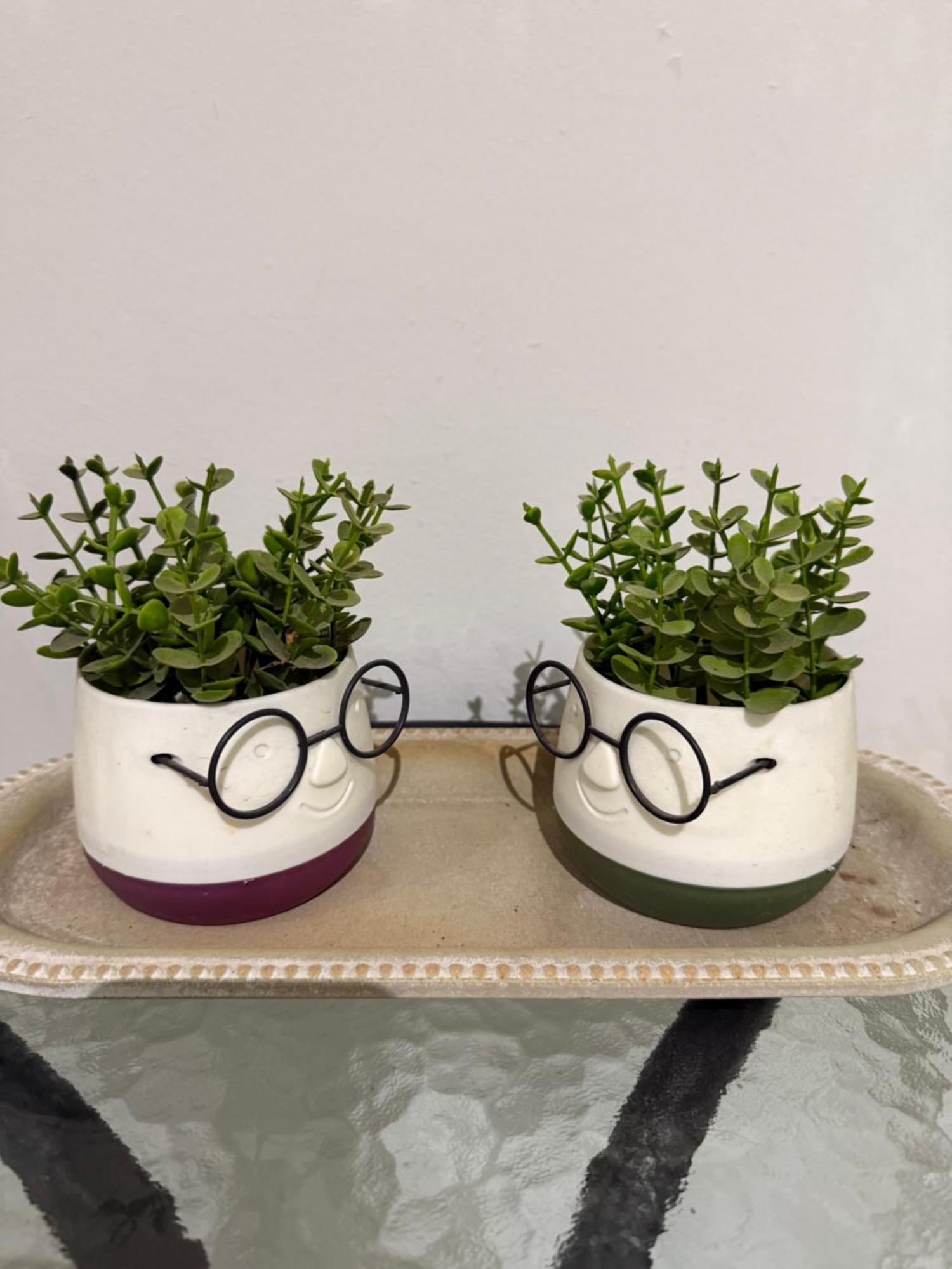 The House Of Johnkou Apartment Chania  ภายนอก รูปภาพ